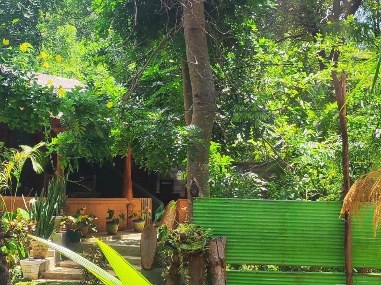Hotel Jaana Guest Sigiriya Exterior foto